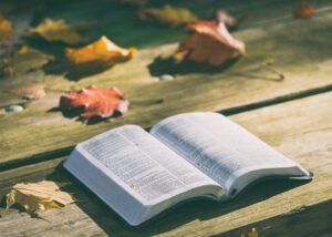 Bible ouverte autour de feuilles mortes